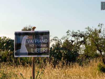 Il primo particolare che notiamo sono dei cartellini raffiguranti un gatto e un�oca che �avvertono� gli ospiti di procedere con cautela, perch� loro �vivono liberi�